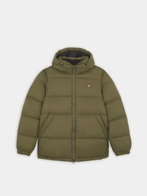 Куртки и дубленки Dickies Glacier модель DK0A4YEYMGR1 Фото