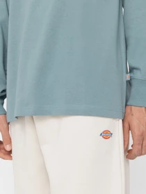 Худі та світшоти Dickies TROOPER модель DK0A4YGHG071 Фото