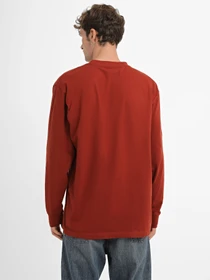 Худі та світшоти Dickies Scott City модель DK0A4YIXG041 Фото