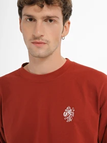 Худі та світшоти Dickies Scott City модель DK0A4YIXG041 Фото