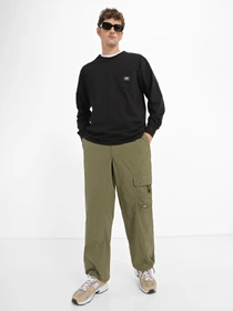 Худі та світшоти Dickies Mount Vista Pocket модель DK0A4YJQBLK1 Фото
