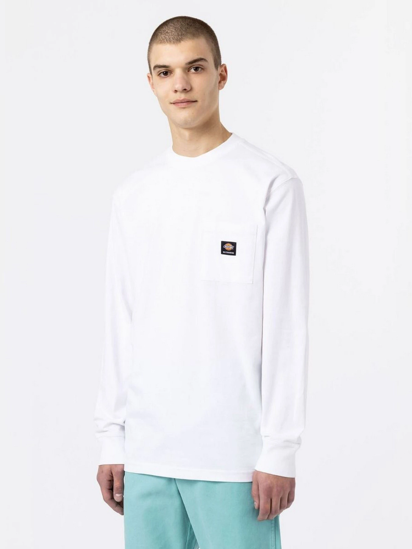 Худі та світшоти Dickies Mount Vista Pocket модель DK0A4YJQWHX1 Худі та світшоти Dickies Mount Vista Pocket модель DK0A4YJQWHX1 Фото
