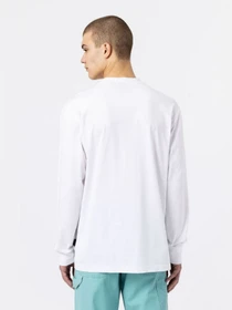 Худі та світшоти Dickies Mount Vista Pocket модель DK0A4YJQWHX1 Фото