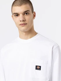 Худі та світшоти Dickies Mount Vista Pocket модель DK0A4YJQWHX1 Фото