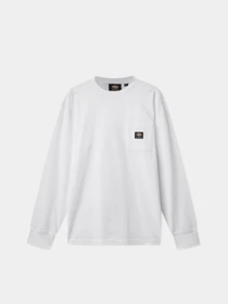 Худі та світшоти Dickies Mount Vista Pocket модель DK0A4YJQWHX1 Фото