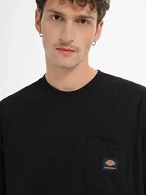 Футболки і поло Dickies Mount Vista Pocket модель DK0A4YJRBLK1 Фото