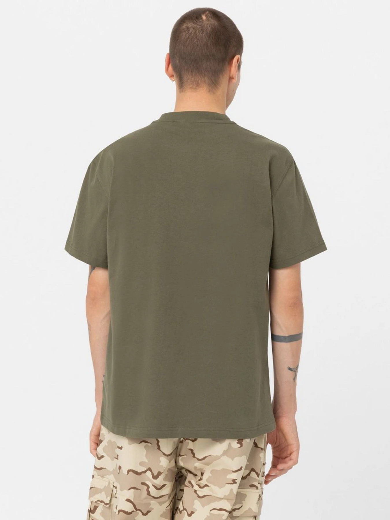 Футболки и поло Dickies Mount Vista Pocket модель DK0A4YJRDKO1 Фото