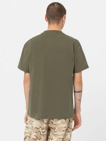 Футболки и поло Dickies Mount Vista Pocket модель DK0A4YJRDKO1 Фото