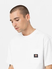 Футболки і поло Dickies Mount Vista Pocket модель DK0A4YJRWHX1 Фото