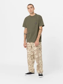 Брюки Dickies Moundridge модель DK0A4YJTDC01 Фото