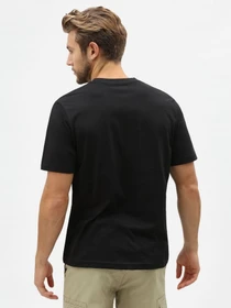 Футболки и поло Dickies Tsht Pk модель DK621091BLK1 Фото