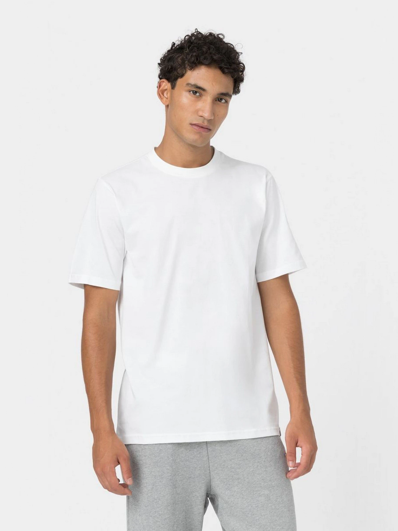 Футболки и поло Dickies Tsht Pk модель DK621091WHX1 Фото