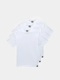 Футболки і поло Dickies Tsht Pk модель DK621091WHX1 Фото