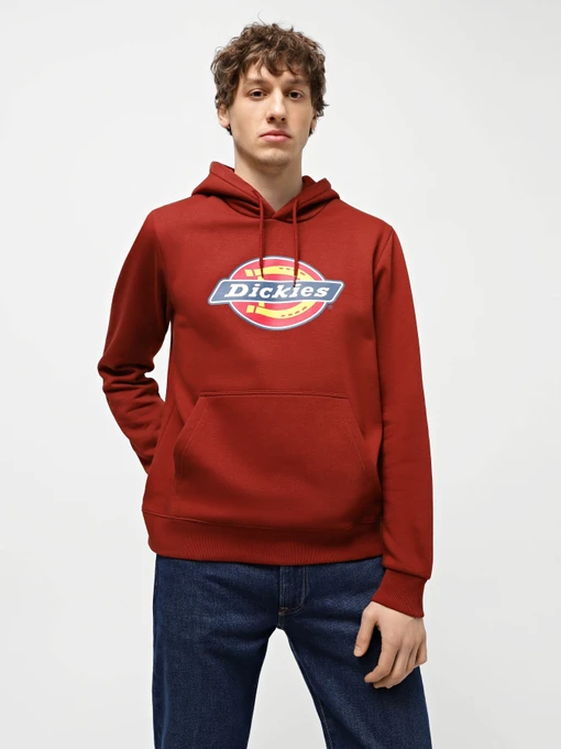 Худі та світшоти Dickies Icon Logo модель DK0A4XCBG041 Фото