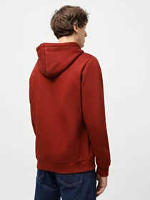 Худі та світшоти Dickies Icon Logo модель DK0A4XCBG041 Фото