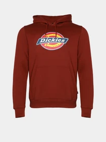 Худі та світшоти Dickies Icon Logo модель DK0A4XCBG041 Фото