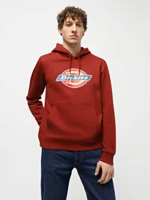 Худі та світшоти Dickies Icon Logo модель DK0A4XCBG041 Фото