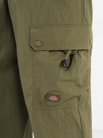 Штани Dickies Jackson модель DK0A4YLXMGR1 Фото