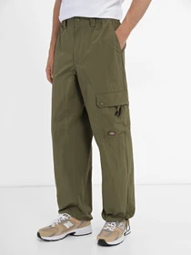 Штани Dickies Jackson модель DK0A4YLXMGR1 Фото