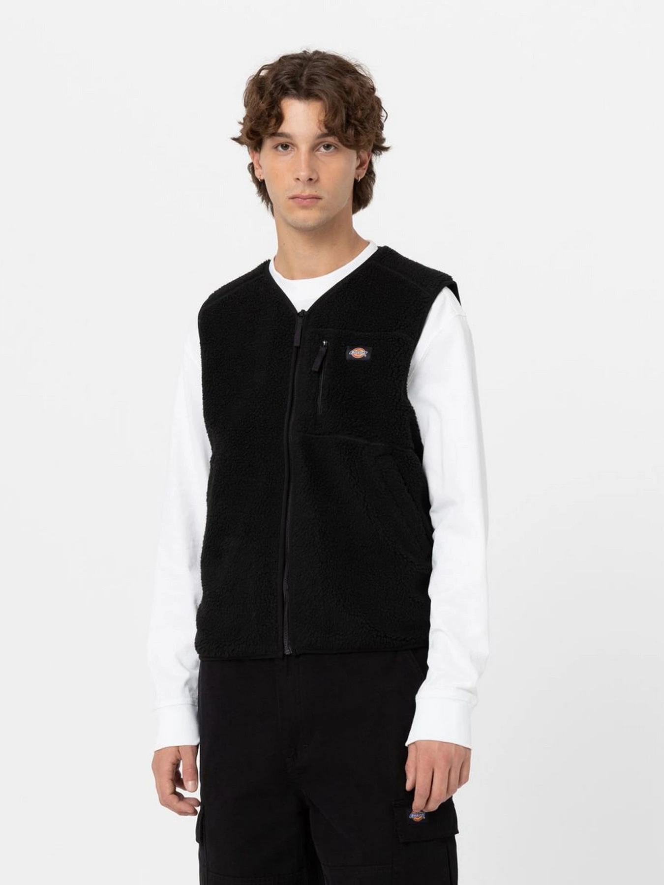 Куртки та дублянки Dickies Mount Hope модель DK0A4YEGBLK1 Фото