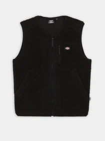 Куртки та дублянки Dickies Mount Hope модель DK0A4YEGBLK1 Фото