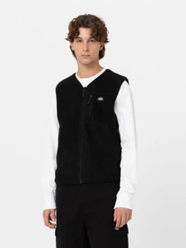 Куртки и дубленки Dickies Mount Hope модель DK0A4YEGBLK1 Фото