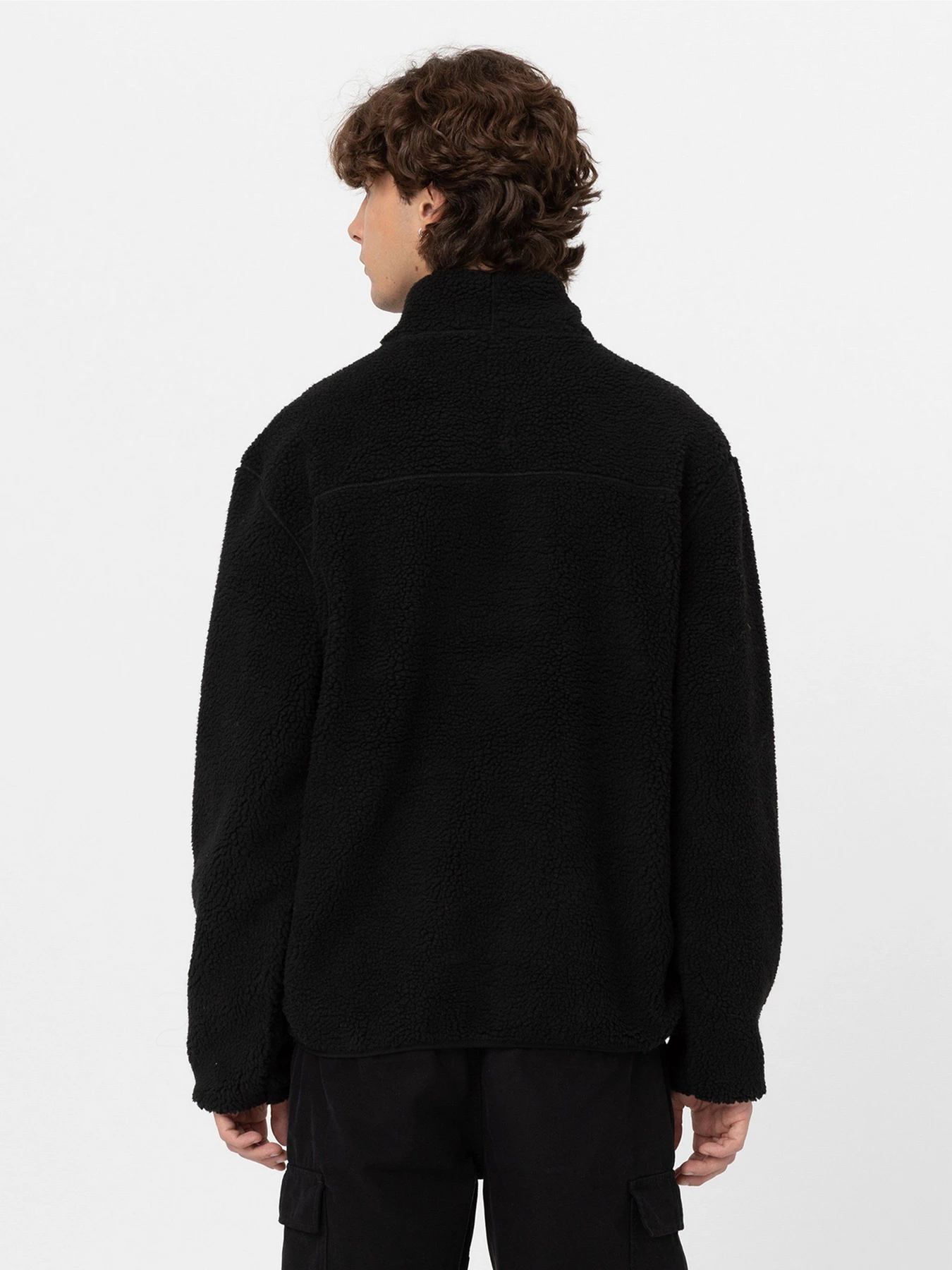 Худи и свитшоты Dickies Mount Hope Quarter Zip модель DK0A4YEFBLK1 Худи и свитшоты Dickies Mount Hope Quarter Zip модель DK0A4YEFBLK1 Фото
