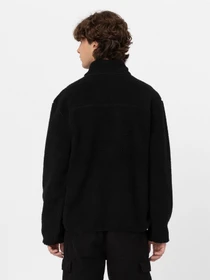 Худи и свитшоты Dickies Mount Hope Quarter Zip модель DK0A4YEFBLK1 Фото