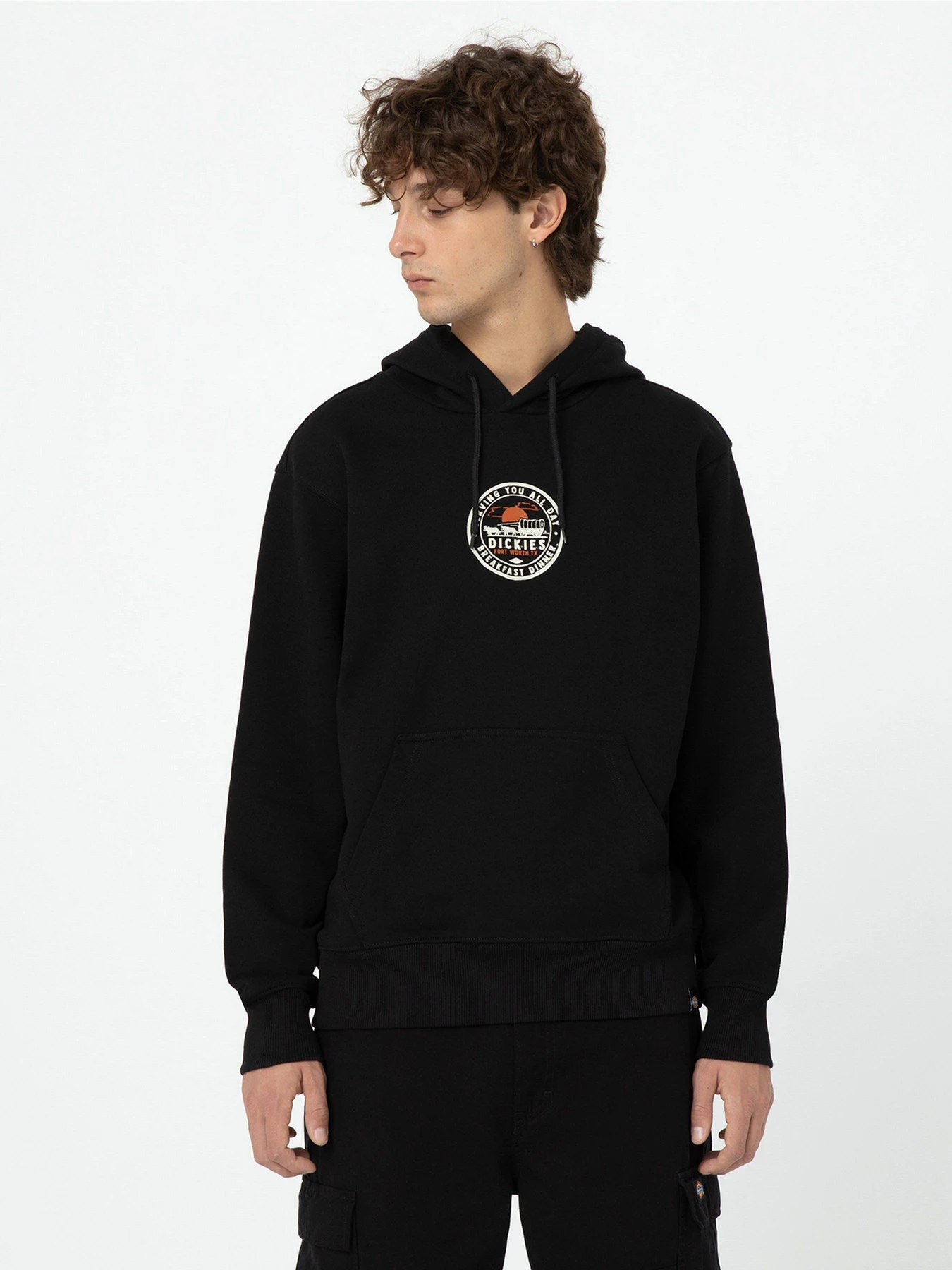 Худі та світшоти Dickies Greensburg модель DK0A4YEKBLK1 Худі та світшоти Dickies Greensburg модель DK0A4YEKBLK1 Фото