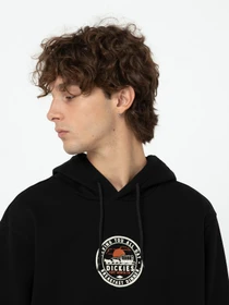 Худі та світшоти Dickies Greensburg модель DK0A4YEKBLK1 Фото