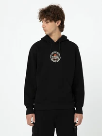 Худи и свитшоты Dickies Greensburg модель DK0A4YEKBLK1 Фото