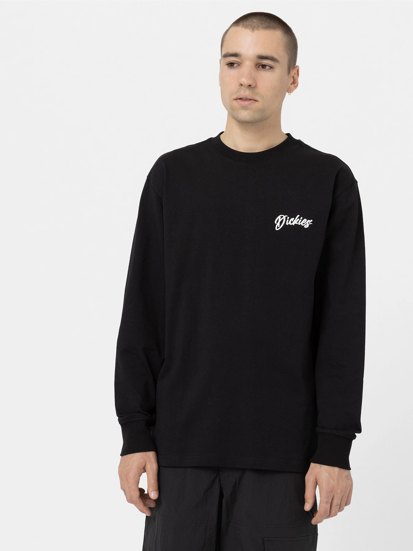Худи и свитшоты Dickies Dighton модель DK0A4YFFBLK1 Худи и свитшоты Dickies Dighton модель DK0A4YFFBLK1 Фото
