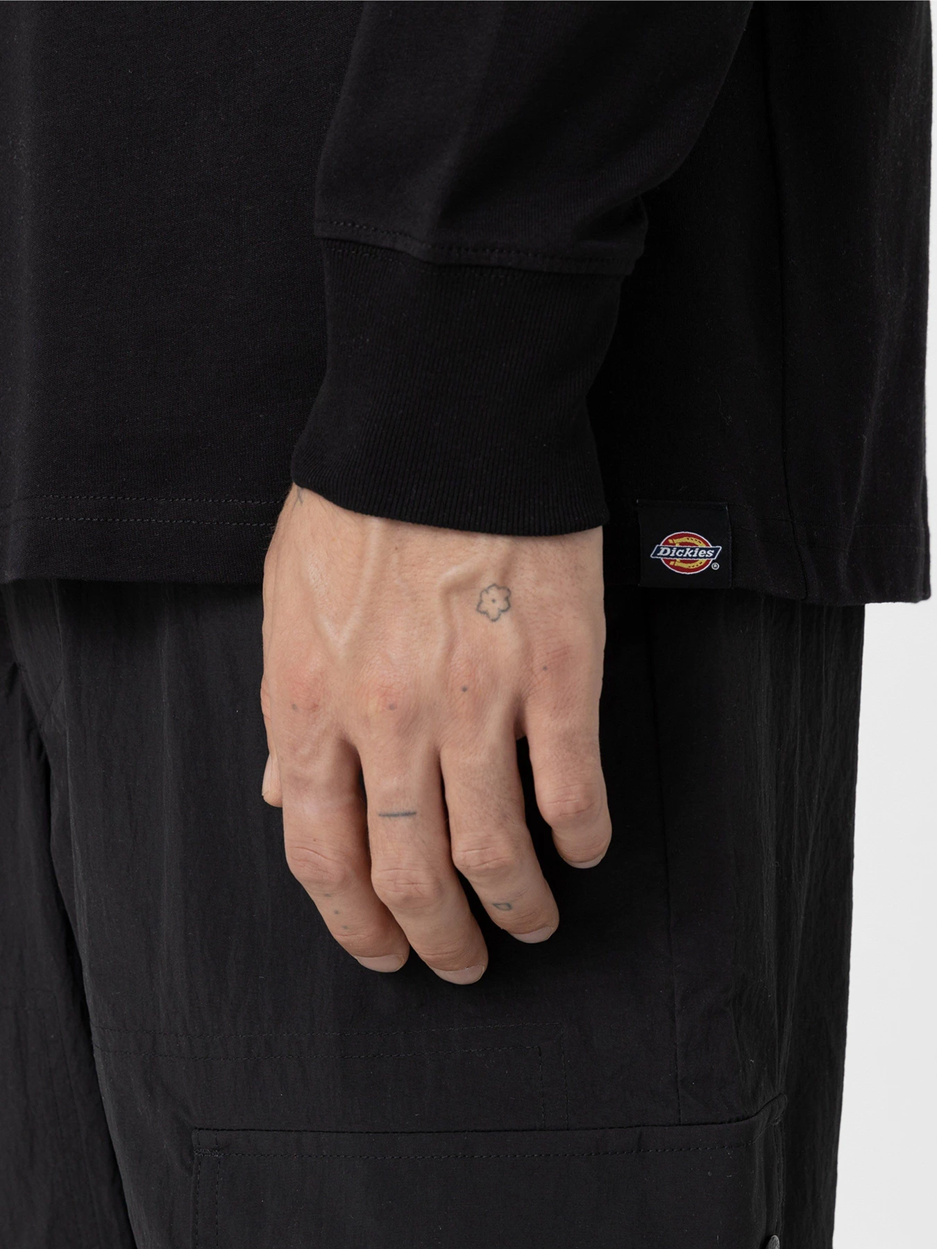 Худи и свитшоты Dickies Dighton модель DK0A4YFFBLK1 Худи и свитшоты Dickies Dighton модель DK0A4YFFBLK1 Фото