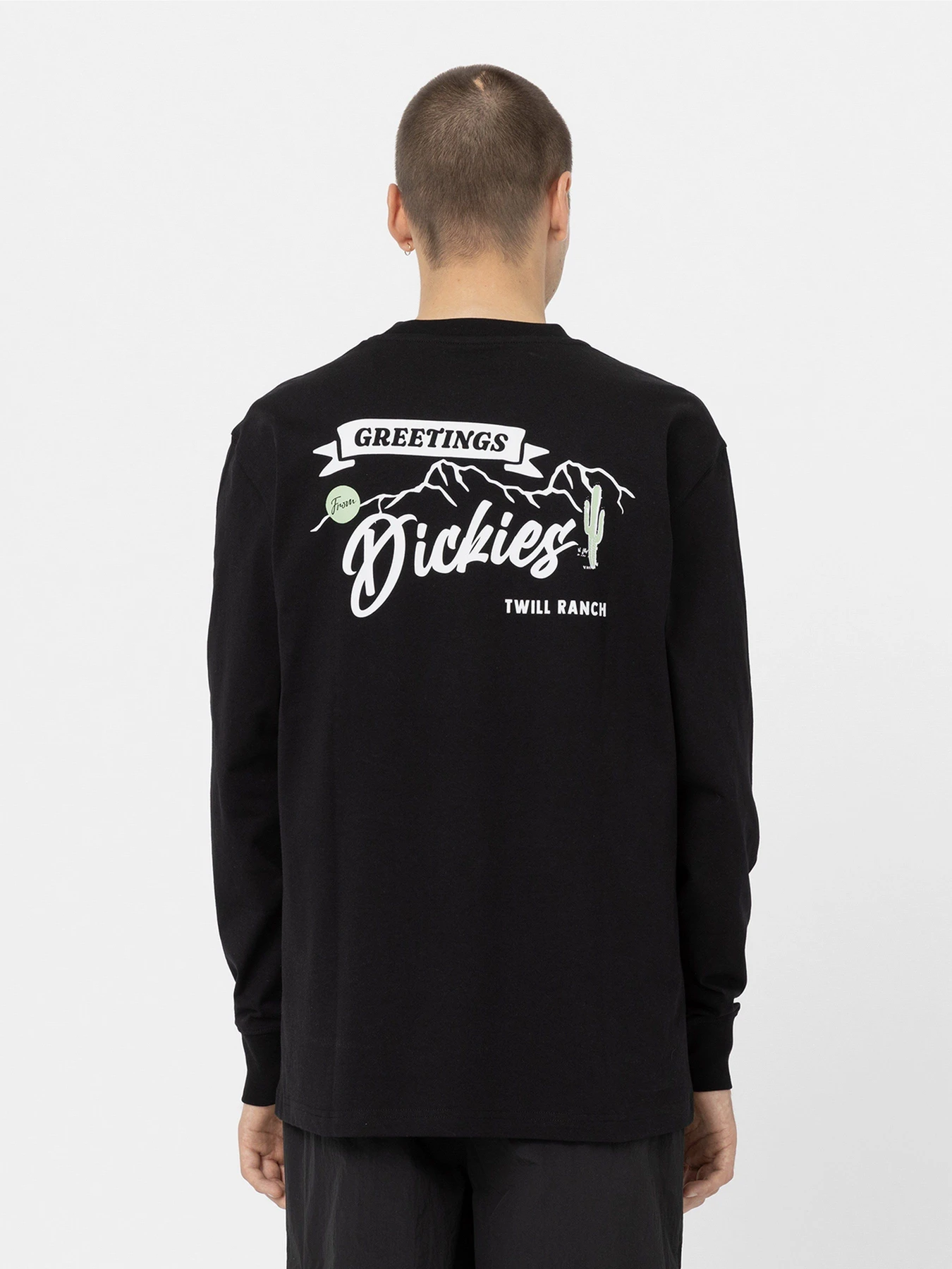 Худи и свитшоты Dickies Dighton модель DK0A4YFFBLK1 Худи и свитшоты Dickies Dighton модель DK0A4YFFBLK1 Фото