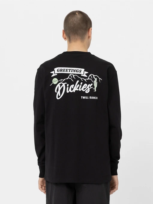 Худі та світшоти Dickies Dighton модель DK0A4YFFBLK1 Фото