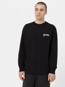 Худи и свитшоты Dickies Dighton модель DK0A4YFFBLK1 Фото