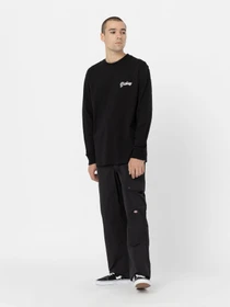 Худи и свитшоты Dickies Dighton модель DK0A4YFFBLK1 Фото