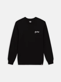 Худи и свитшоты Dickies Dighton модель DK0A4YFFBLK1 Фото
