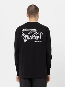 Худи и свитшоты Dickies Dighton модель DK0A4YFFBLK1 Фото
