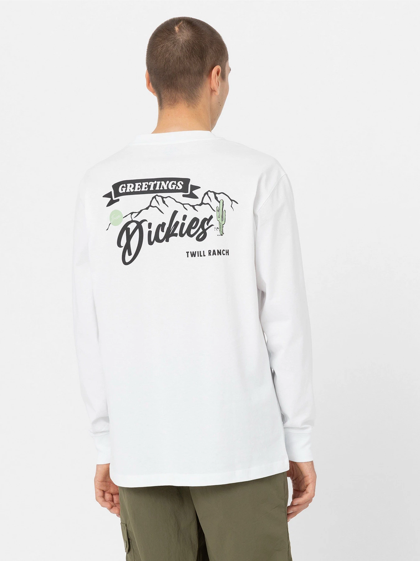 Худі та світшоти Dickies Dighton модель DK0A4YFFWHX1 Худі та світшоти Dickies Dighton модель DK0A4YFFWHX1 Фото