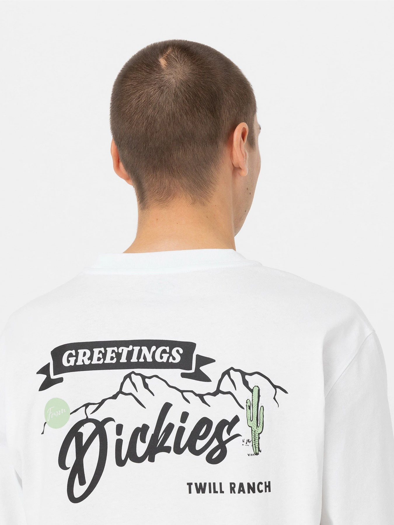Худі та світшоти Dickies Dighton модель DK0A4YFFWHX1 Худі та світшоти Dickies Dighton модель DK0A4YFFWHX1 Фото