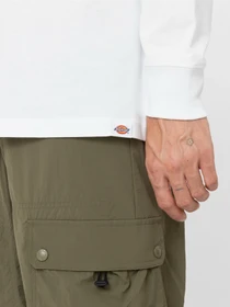 Худі та світшоти Dickies Dighton модель DK0A4YFFWHX1 Фото
