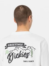 Худі та світшоти Dickies Dighton модель DK0A4YFFWHX1 Фото