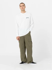 Худі та світшоти Dickies Dighton модель DK0A4YFFWHX1 Фото