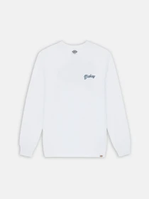 Худі та світшоти Dickies Dighton модель DK0A4YFFWHX1 Фото