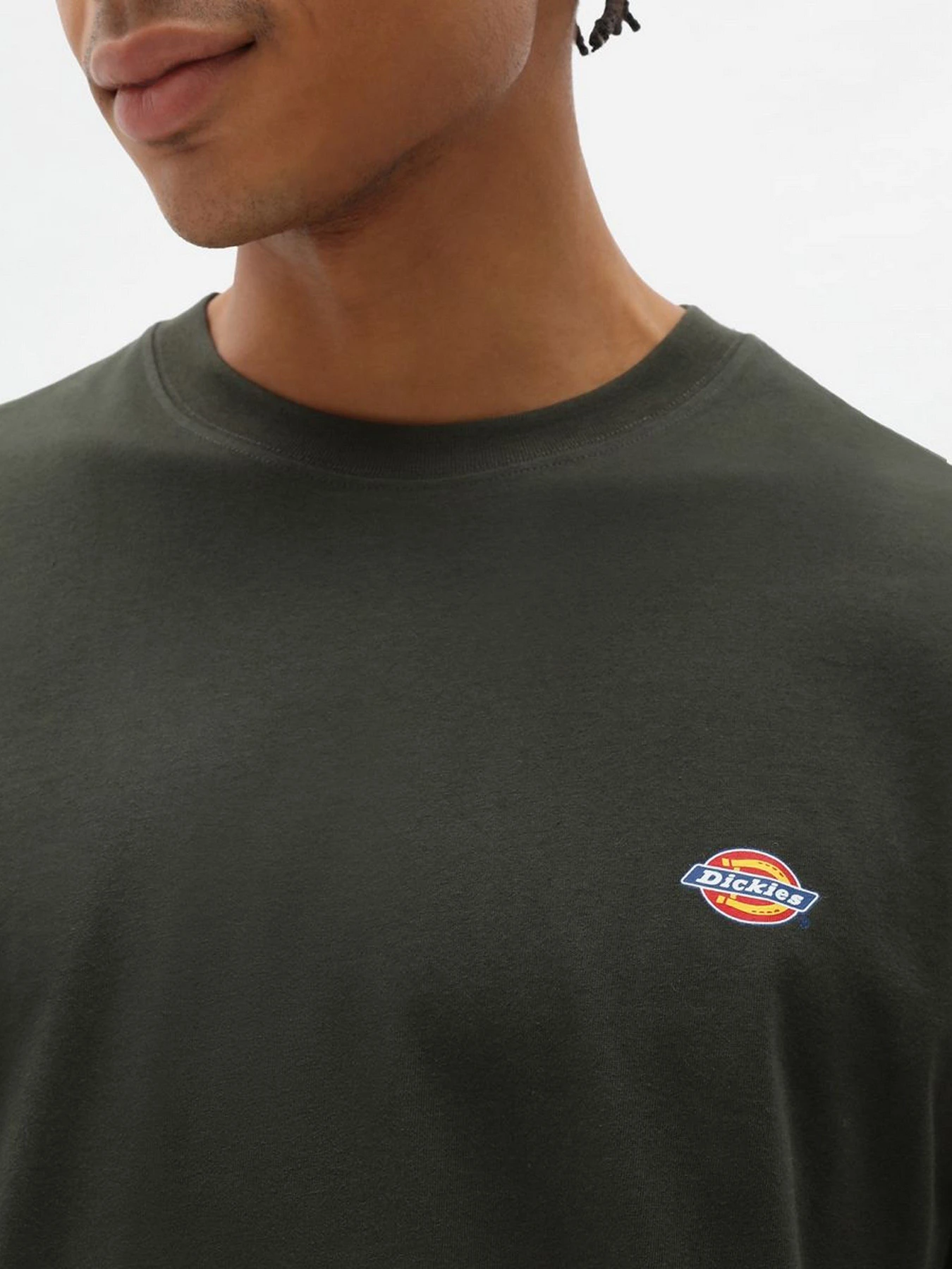 Футболки і поло Dickies SS Mapleton модель DK0A4XDBOGX1 Футболки і поло Dickies SS Mapleton модель DK0A4XDBOGX1 Фото