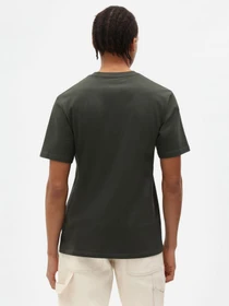 Футболки і поло Dickies SS Mapleton модель DK0A4XDBOGX1 Фото