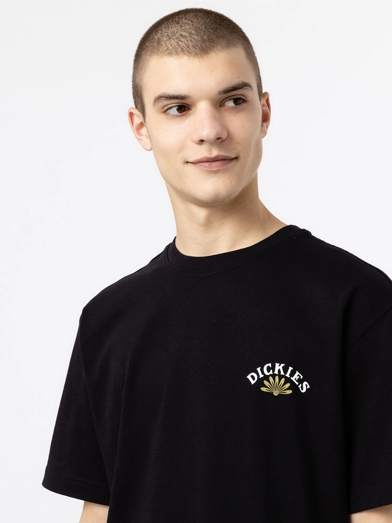 Футболки і поло Dickies Fort Lewis модель DK0A4XO7BLK1 Футболки і поло Dickies Fort Lewis модель DK0A4XO7BLK1 Фото