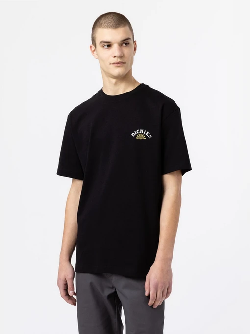 Футболки і поло Dickies Fort Lewis модель DK0A4XO7BLK1 Фото