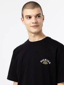 Футболки і поло Dickies Fort Lewis модель DK0A4XO7BLK1 Фото